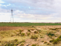 terrain-agricole-vente-djelfa-tadmit-algerie