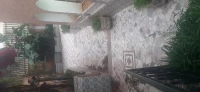 Location Villa Alger Kouba