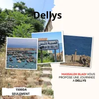 voyage organise Dellys