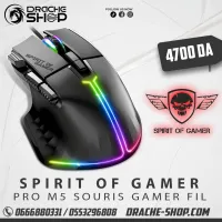 Souris Spirit of Gamer Pro-M5
