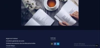 Développeur WEB 
