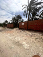 terrain-agricole-vente-biskra-lichana-algerie