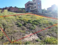 Vente Terrain Blida Bougara