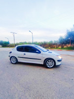 citadine-peugeot-206-2003-blida-algerie