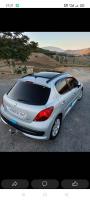 citadine-peugeot-207-2009-premium-saida-algerie