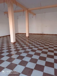Location Local El taref Ain el assel