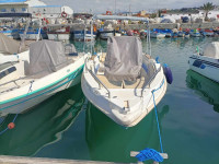 bateaux-barques-yamaha-115-p-2023-jijel-algerie