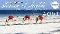 SHARM EL SHEIKH AOUT Été 2025 AVEC ABIMOUBOOKING