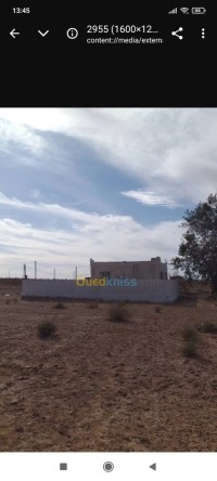 أرض-بيع-بشار-لحمر-الجزائر