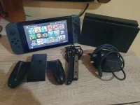 Switch Flashé Puce