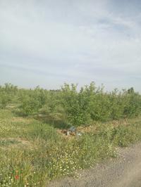 أرض-فلاحية-بيع-باتنة-الجزائر