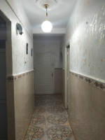 appartement-vente-f3-ain-temouchent-hassi-el-ghella-algerie