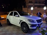 tout-terrain-suv-mercedes-ml-2014-250-cdi-pack-amg-annaba-algerie