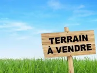 Vente Terrain Tipaza Tipaza