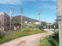 terrain-location-boumerdes-beni-amrane-algerie