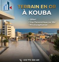 أرض-بيع-الجزائر-القبة