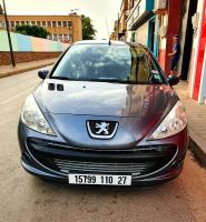 citadine-peugeot-206-plus-2010-ain-tadles-mostaganem-algerie