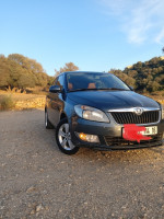 voitures-skoda-fabia-2014-fresh-reghaia-alger-algerie