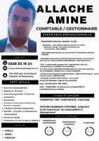 comptabilite-audit-comptable-gestionnaire-bordj-menaiel-boumerdes-algerie