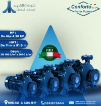 Pompe à Eau Industrielle Italienne Conforto N
