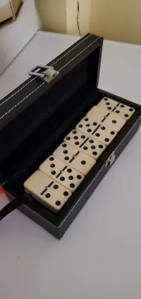 Domino