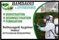 nettoyage-jardinage-service-desinsectisations-et-deratisations-oran-algerie