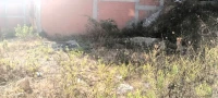 Vente Terrain Béjaïa Bejaia