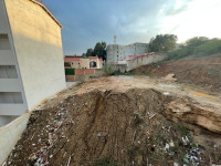 terrain-vente-boumerdes-corso-algerie