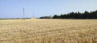 Vente Terrain Sétif Mezloug