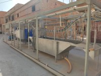 صناعة-و-تصنيع-ligne-dabattage-de-poulet-البيض-الجزائر
