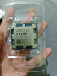 amd ryzen 5 9600x