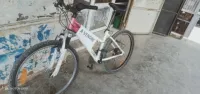 Vello ROCK RIDER 