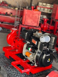 صناعة-و-تصنيع-motopompe-lombardini-9ld625-diesel-pompe-caprari-ita-ا-سيرات-مستغانم-الجزائر