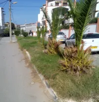 Location Villa Alger Said hamdine