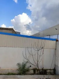 Vente Hangar Boumerdès Ouled moussa