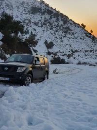 Nissan Pathfinder 2009 