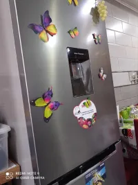 Maxwell 390L combiné / Defrost  distributeur /inox