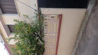 Vente Villa Blida Blida