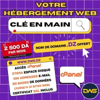 Hébergement web professionnel 