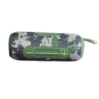 HAUT PARLEUR PORTABLE BLUETOOTH SANS FIL 
