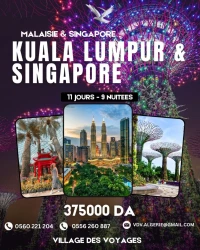 voyage combine Singapore & Malaisie