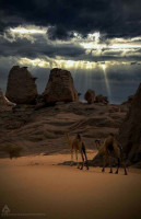 voyage-organise-tamanrasset-circuit-du-meharees-cheraga-alger-algerie