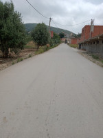 vente-boumerdes-el-kharrouba-algerie