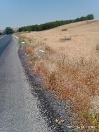 أرض-فلاحية-بيع-البويرة-سور-الغزلان-الجزائر