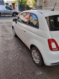 سيارات-fiat-500-2025-cult-mib-سطيف-الجزائر