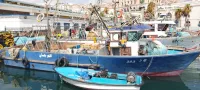 Sardiniers bateau de pêche 