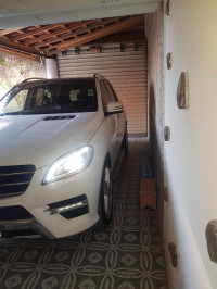 voitures-mercedes-ml-2015-250-cdi-pack-amg-msila-algerie