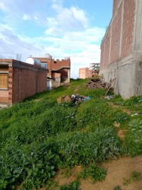 أرض-بيع-بومرداس-حمادي-الجزائر