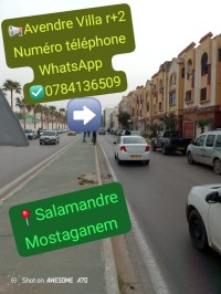 فيلا-بيع-مستغانم-الجزائر
