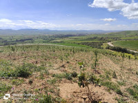 terrain-agricole-vente-ain-defla-djendel-algerie